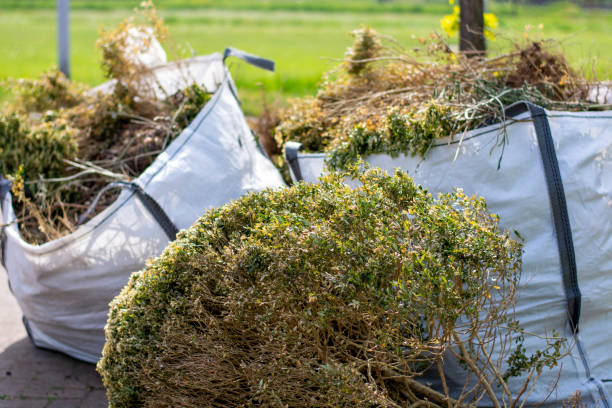 Best Carpet Removal and Disposal  in Midway, AR